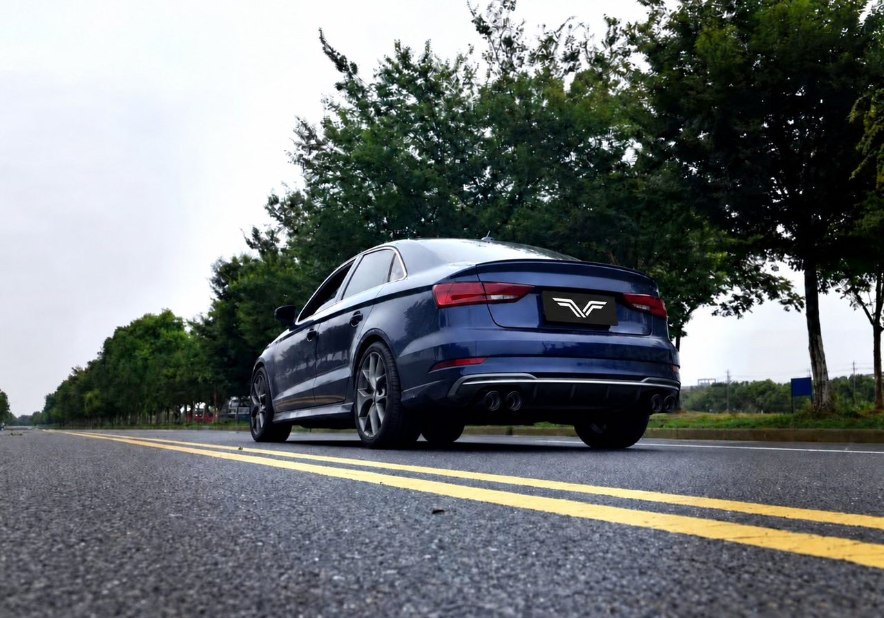 Audi S3 2.0T Abgasanlage