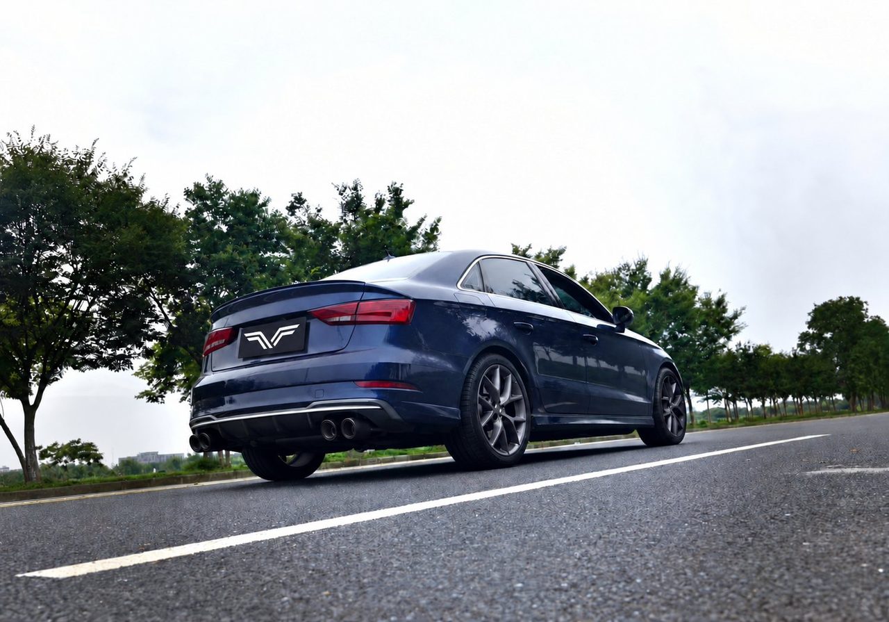 Audi S3 2.0T Abgasanlage