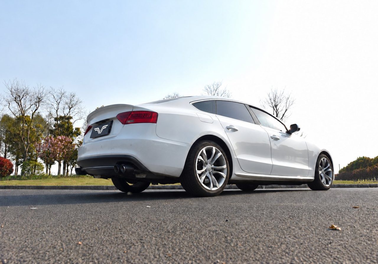 Audi S5 B8 Abgasanlage