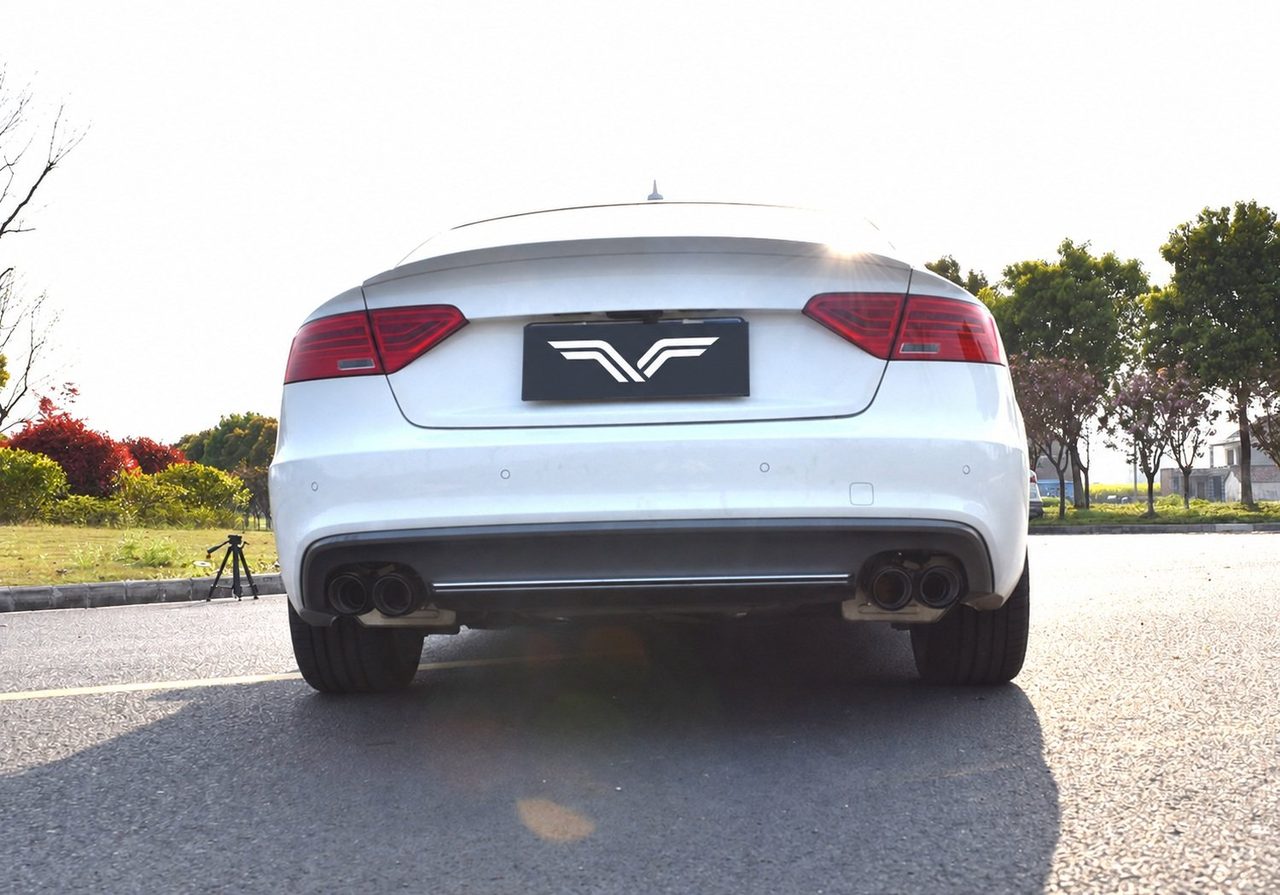 Audi S5 B8 Abgasanlage