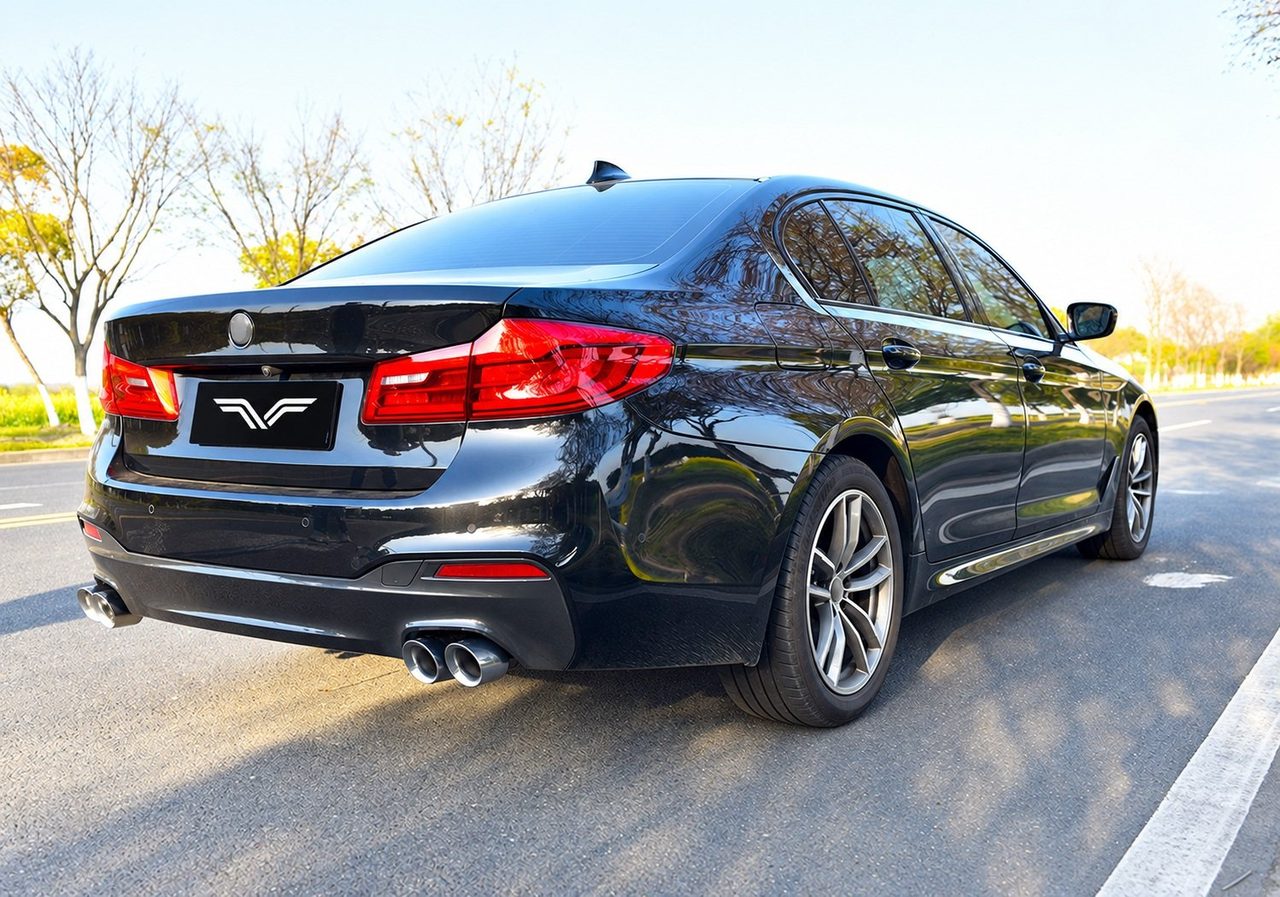 BMW G38 530Li Cat-Back, Carbon-Endrohre