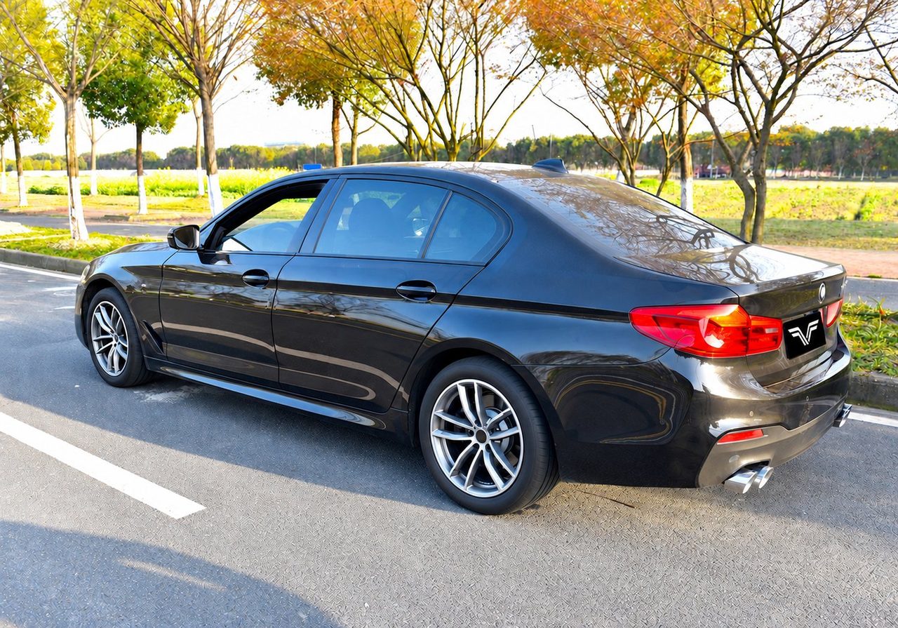 BMW G38 530Li Cat-Back, Carbon-Endrohre