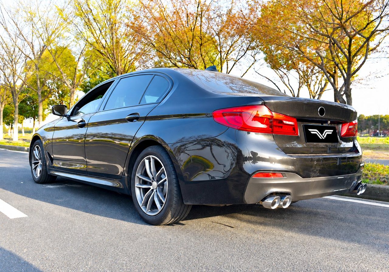 BMW G38 530Li Cat-Back, Carbon-Endrohre