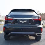 Lexus RX300 2.0T — 6